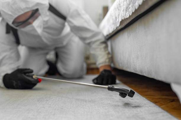 Professional Bed Bug Control technician working in Nottoway County County, VA